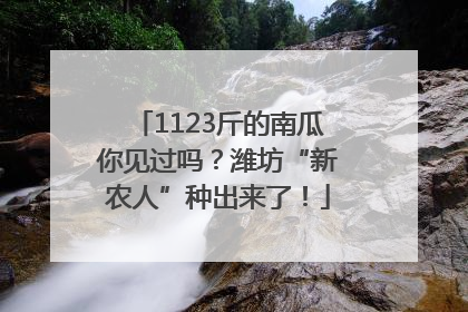 1123斤的南瓜你见过吗？潍坊“新农人”种出来了！