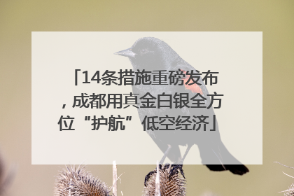14条措施重磅发布，成都用真金白银全方位“护航”低空经济