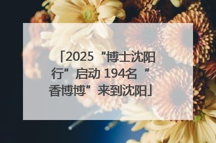 2025“博士沈阳行”启动 194名“香博博”来到沈阳