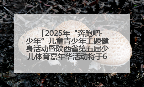 2025年“奔跑吧·少年”儿童青少年主题健身活动暨陕西省第五届少儿体育嘉年华活动将于6月14日正式举办