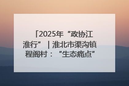 2025年“政协江淮行”｜淮北市渠沟镇程阁村：“生态痛点”变“生态景观”