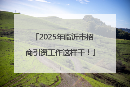 2025年临沂市招商引资工作这样干！