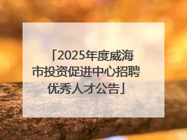 2025年度威海市投资促进中心招聘优秀人才公告