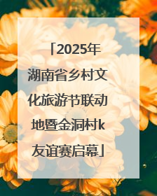 2025年湖南省乡村文化旅游节联动地暨金洞村k友谊赛启幕