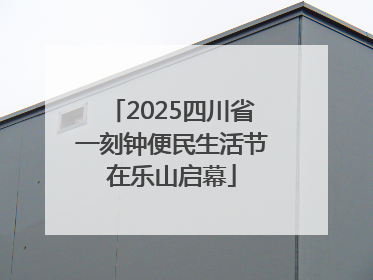 2025四川省一刻钟便民生活节在乐山启幕