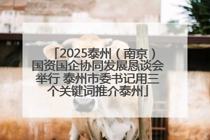 2025泰州（南京）国资国企协同发展恳谈会举行 泰州市委书记用三个关键词推介泰州