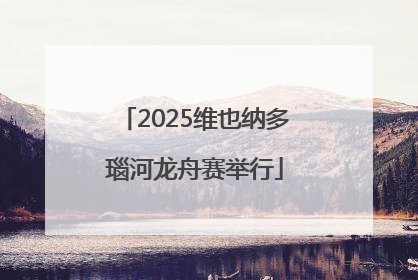 2025维也纳多瑙河龙舟赛举行