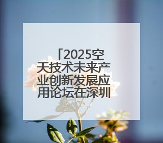 2025空天技术未来产业创新发展应用论坛在深圳成功召开