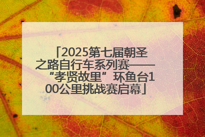 2025第七届朝圣之路自行车系列赛——“孝贤故里”环鱼台100公里挑战赛启幕