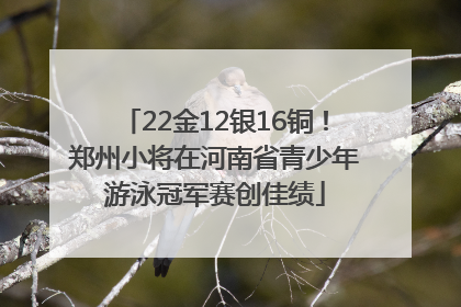 22金12银16铜！郑州小将在河南省青少年游泳冠军赛创佳绩