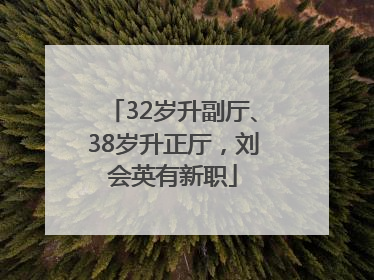 32岁升副厅、38岁升正厅，刘会英有新职