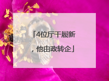 4位厅干履新，他由政转企
