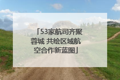 53家航司齐聚蓉城 共绘区域航空合作新蓝图