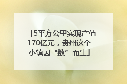 5平方公里实现产值170亿元，贵州这个小镇因“数”而生