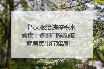 5天根治违停积水顽疾，多部门联动破解居民出行难题