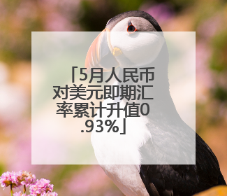 5月人民币对美元即期汇率累计升值0.93%