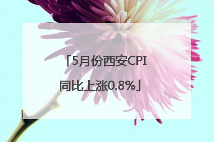 5月份西安CPI同比上涨0.8%