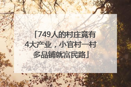 749人的村庄竟有4大产业，小官村一村多品铺就富民路