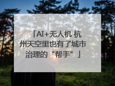 AI+无人机 杭州天空里也有了城市治理的“帮手”