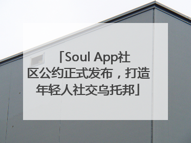 Soul App社区公约正式发布，打造年轻人社交乌托邦